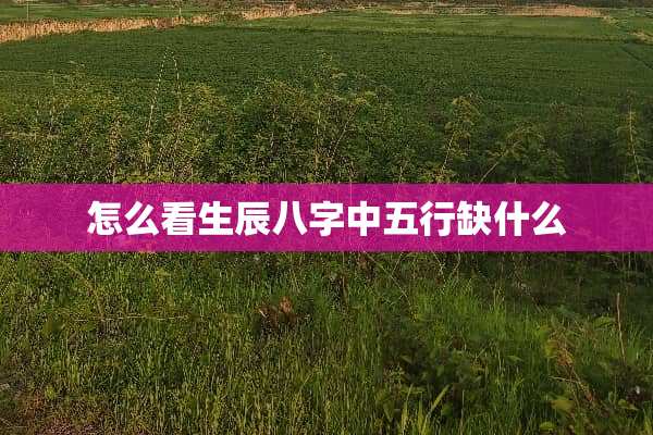 怎么看生辰八字中五行缺什么
