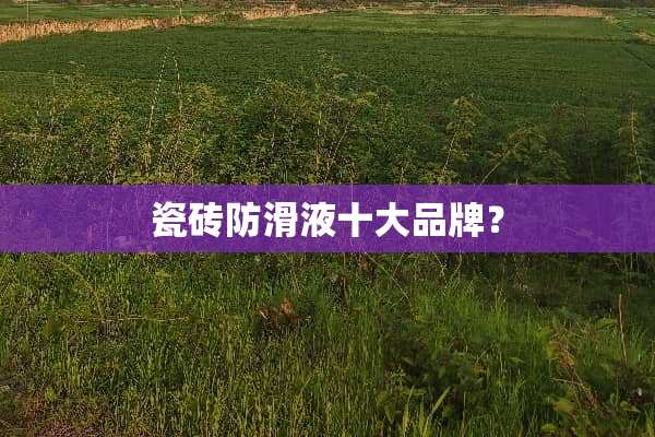 瓷砖防滑液十大品牌？