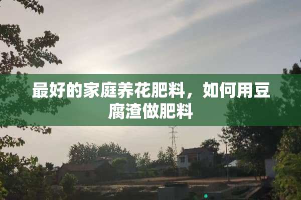 最好的家庭养花肥料，如何用豆腐渣做肥料