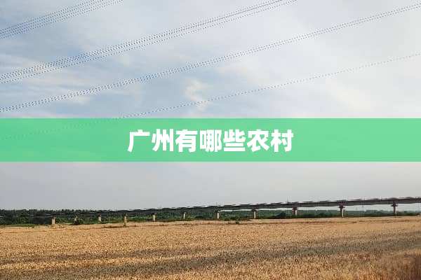 广州有哪些农村