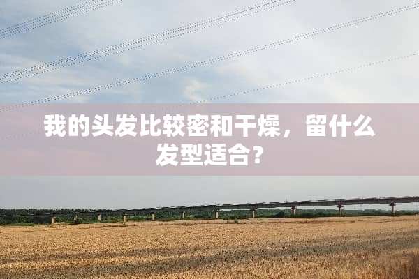 我的头发比较密和干燥，留什么发型适合？