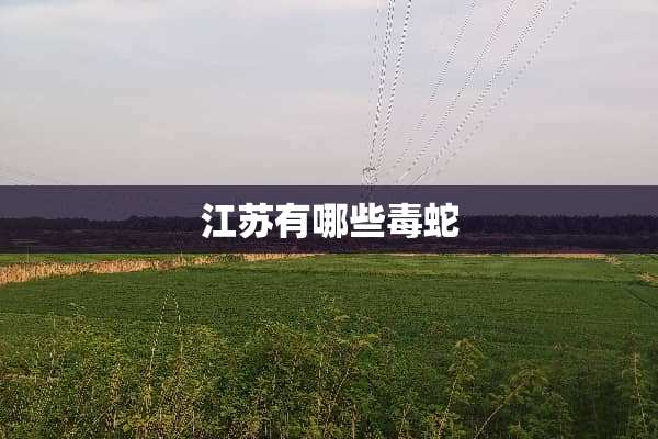 江苏有哪些毒蛇