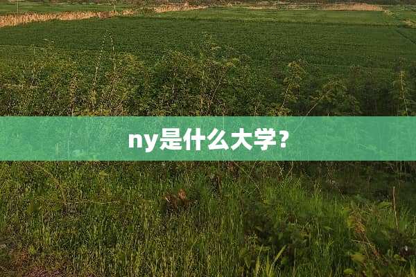ny是什么大学？