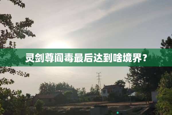 灵剑尊阎毒最后达到啥境界？