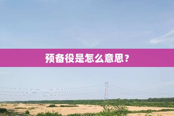 预备役是怎么意思？