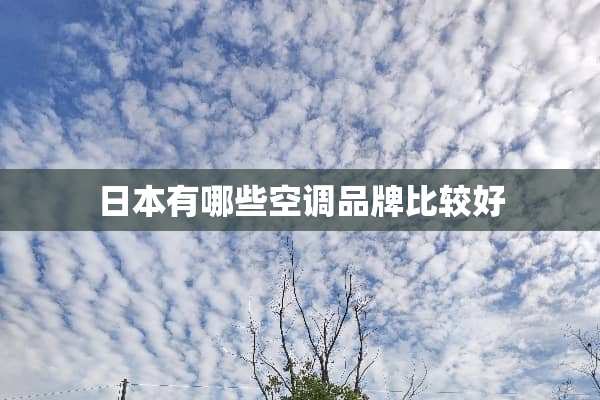 日本有哪些空调品牌比较好