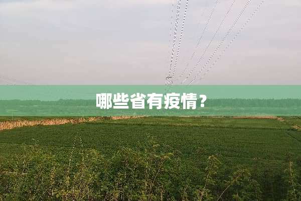 哪些省有疫情？