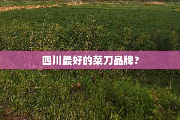 四川最好的菜刀品牌？