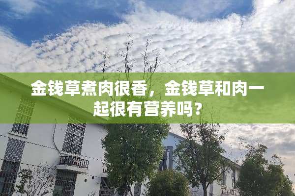 金钱草煮肉很香，金钱草和肉一起很有营养吗？