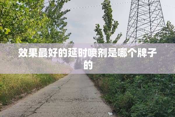 效果最好的延时**是哪个牌子的