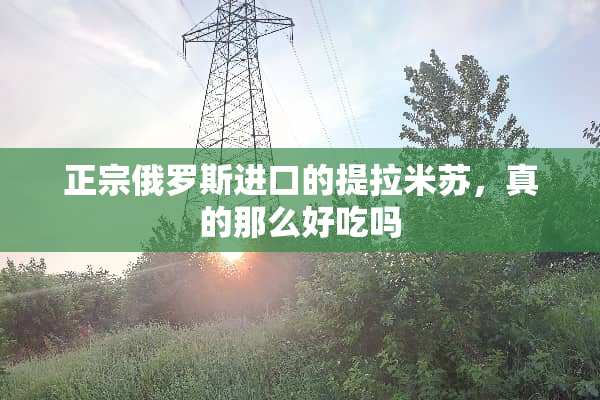 正宗俄罗斯进口的提拉米苏，真的那么好吃吗