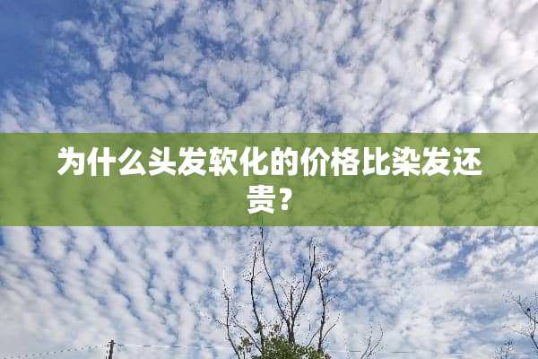 为什么头发软化的价格比染发还贵？