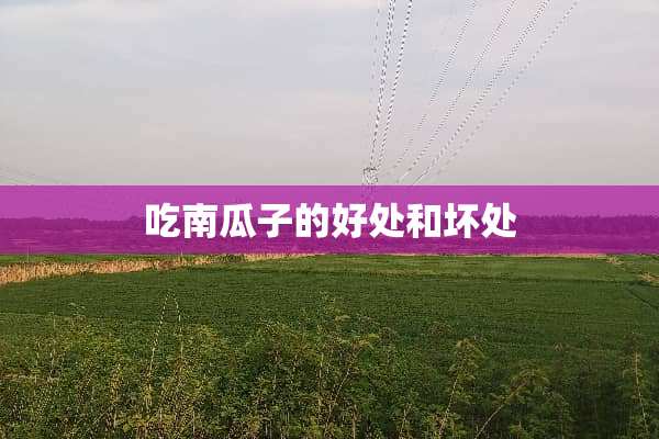 吃南瓜子的好处和坏处