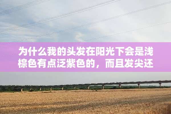 为什么我的头发在阳光下会是浅棕色有点泛紫色的，而且发尖还会一闪一闪的？