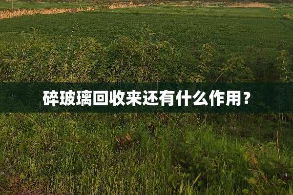 碎玻璃回收来还有什么作用？