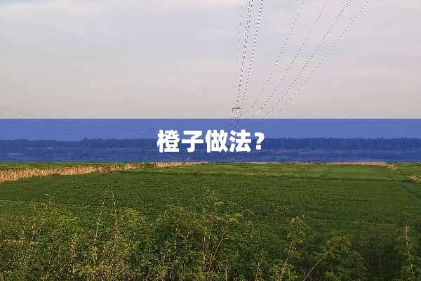 橙子做法？