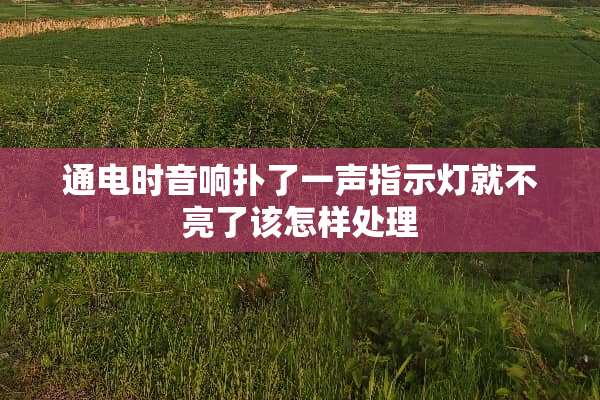 通电时音响扑了一声指示灯就不亮了该怎样处理