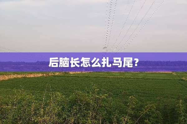 后脑长怎么扎马尾？