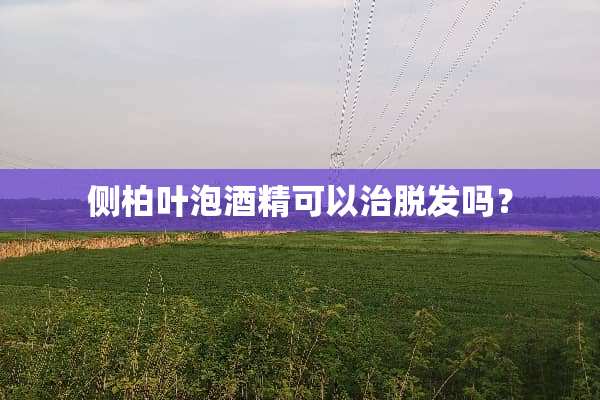 侧柏叶泡酒精可以治脱发吗？