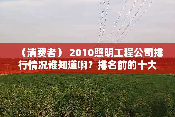 （消费者） 2010照明工程公司排行情况谁知道啊？排名前的十大品牌公司都有哪些？