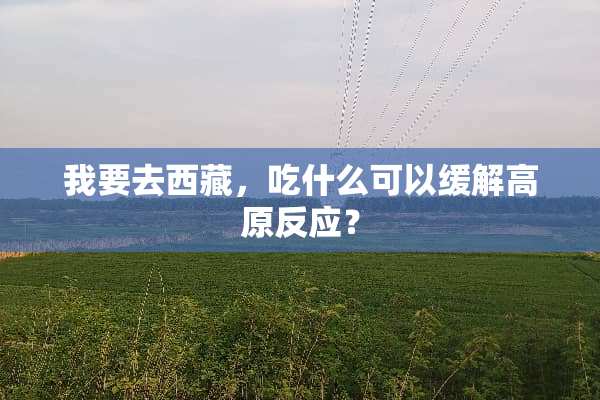 我要去西藏，吃什么可以缓解高原反应？