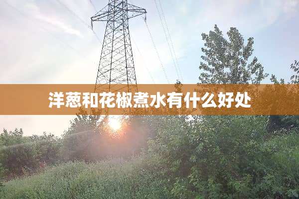 洋葱和花椒煮水有什么好处