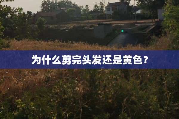 为什么剪完头发还是黄色？