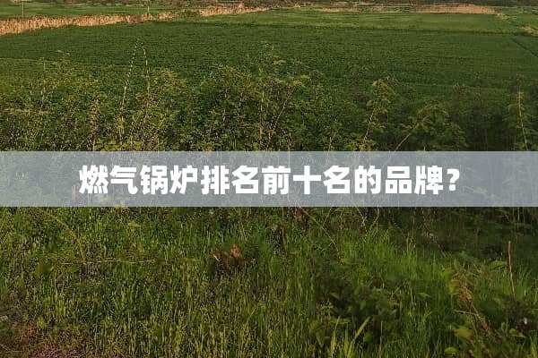 燃气锅炉排名前十名的品牌？