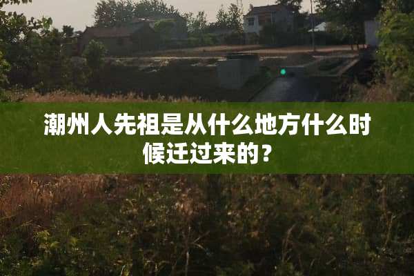 潮州人先祖是从什么地方什么时候迁过来的？