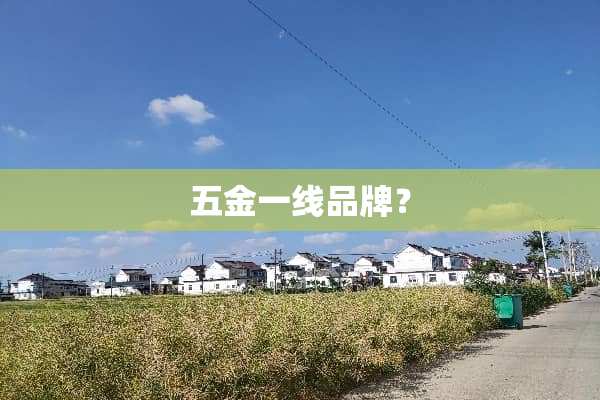 五金一线品牌？