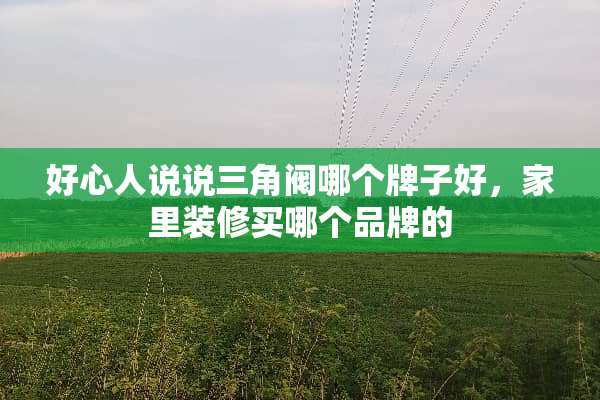 好心人说说三角阀哪个牌子好，家里装修买哪个品牌的