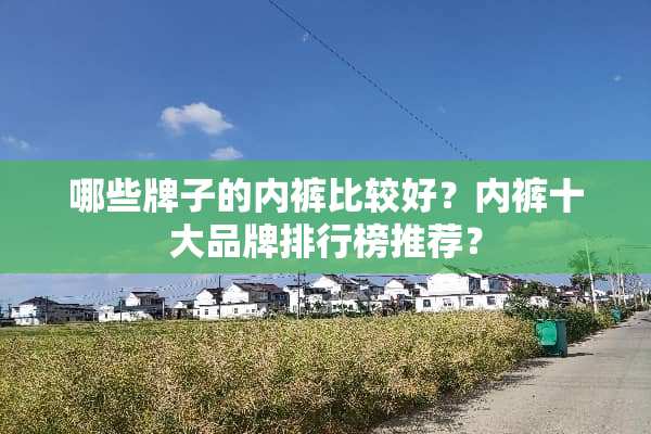 哪些牌子的**比较好？**十大品牌排行榜推荐？