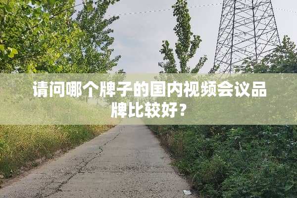 请问哪个牌子的国内视频会议品牌比较好？