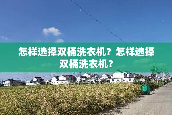 怎样选择双桶洗衣机？怎样选择双桶洗衣机？