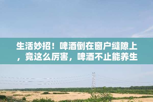 生活妙招！啤酒倒在窗户缝隙上，竟这么厉害，啤酒不止能养生？