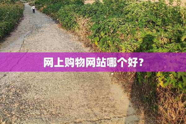 网上购物网站哪个好？