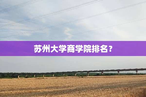 苏州大学商学院排名？