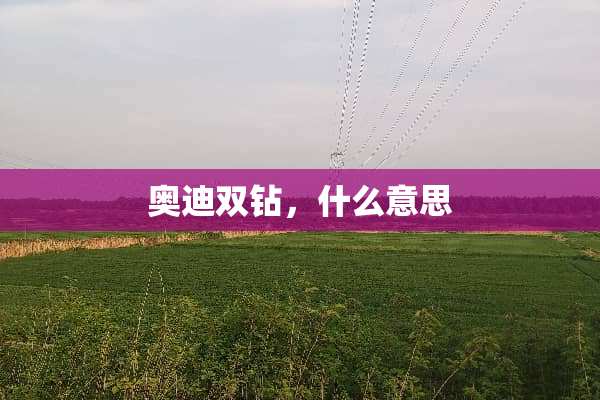 奥迪双钻，什么意思