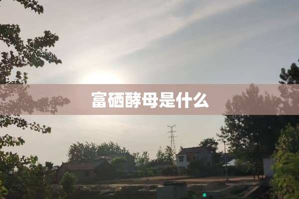 富硒酵母是什么