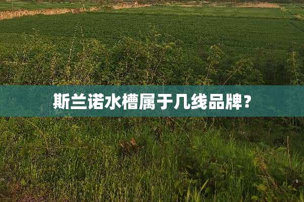 斯兰诺水槽属于几线品牌？