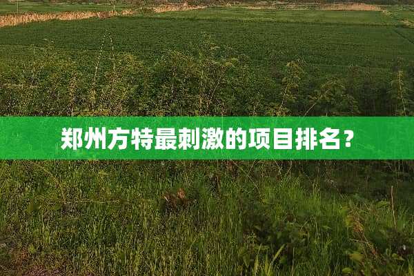 郑州方特最**的项目排名？