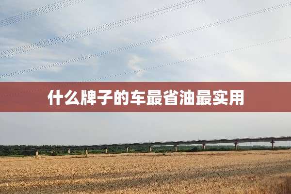 什么牌子的车最省油最实用