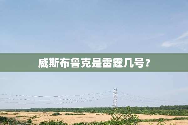 威斯布鲁克是**几号？