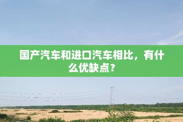 国产汽车和进口汽车相比，有什么优缺点？