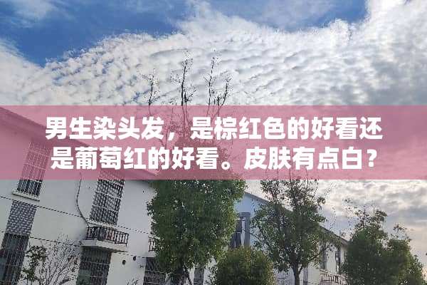 男生染头发，是棕红色的好看还是葡萄红的好看。皮肤有点白？