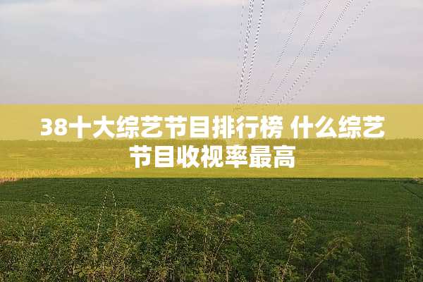 38十大综艺节目排行榜 什么综艺节目收视率最高