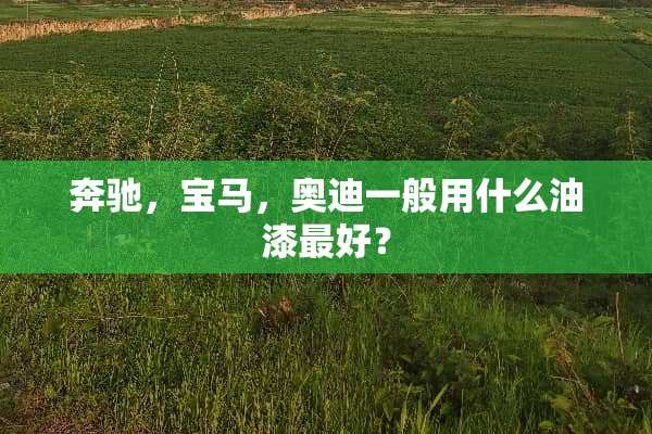 奔驰，宝马，奥迪一般用什么油漆最好？