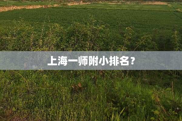 上海一师附小排名？