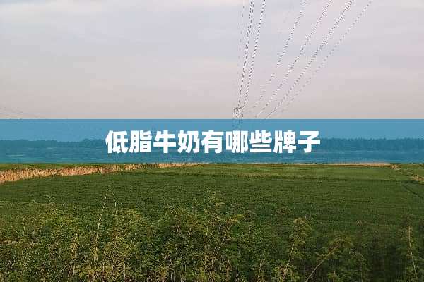 低脂牛奶有哪些牌子