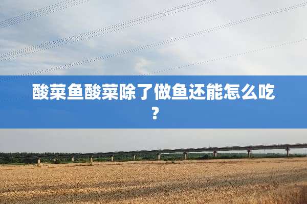 酸菜鱼酸菜除了做鱼还能怎么吃？